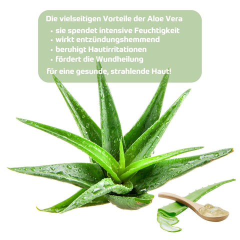 Holzhacker Aloe Vera Creme 75 ml