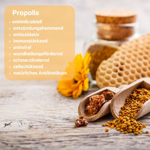 Propolis traditionell bekannt für folgende Wirkungen: antimikrobiell, entzündungshemmend, antioxidativ,  immunstärkend, antiviral, wundheilungsfördernd, schmerzlindernd, zellschützend, natürliches Antibiotikum. Foto mit Bienenwabe, Blütenpollen und Propolis sowie Text. | Naturpräparate Dieterich