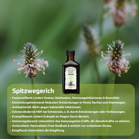 Riviera Spitzwegerich Saft mit Vitamin C 250 ml